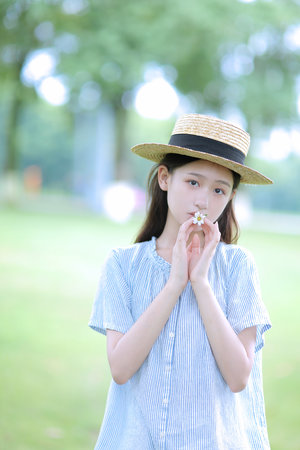 新版金杨梅
